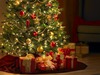 Img_14807c5807d0d927dcd0980f8602